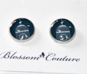 Bird Cage Silhouette Resin Post Silver Earrings